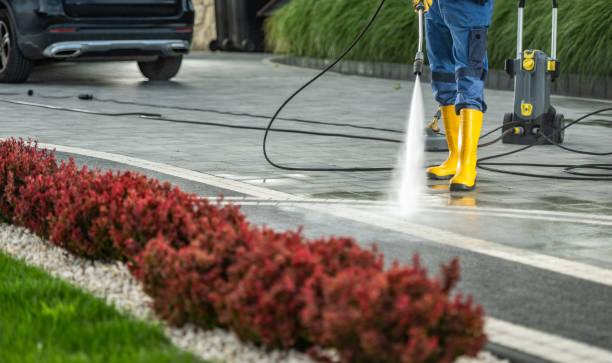 Best Sidewalk and Walkway Cleaning  in Waverly, NY